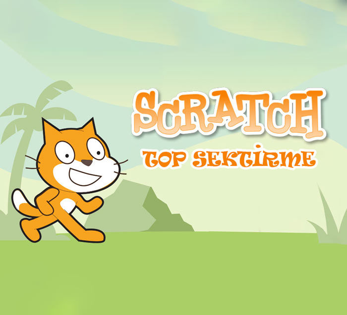 Scratch Top Sektirme Örnek Uygulaması