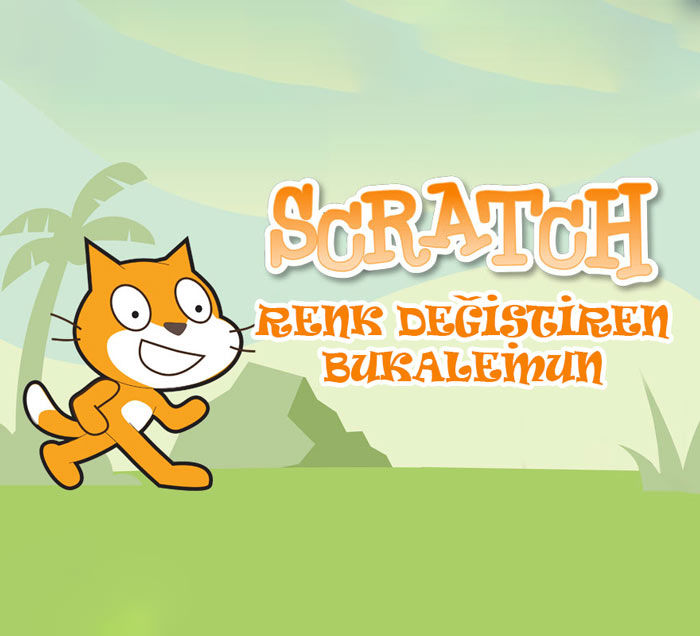 Scratch Renk Değiştirme Bukalemun Uygulaması