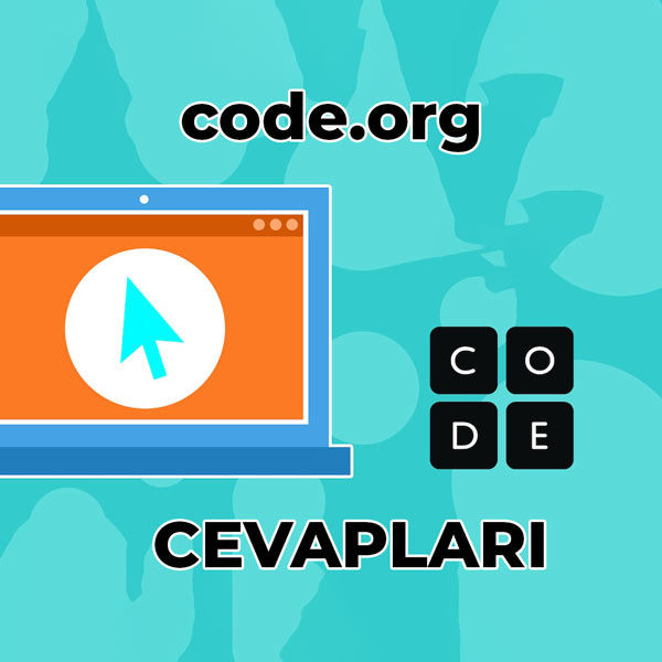 code org cevapları