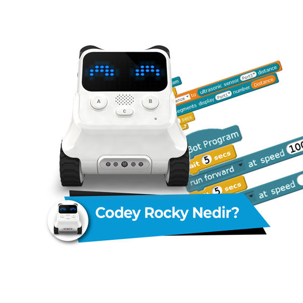 codey rocky nedir