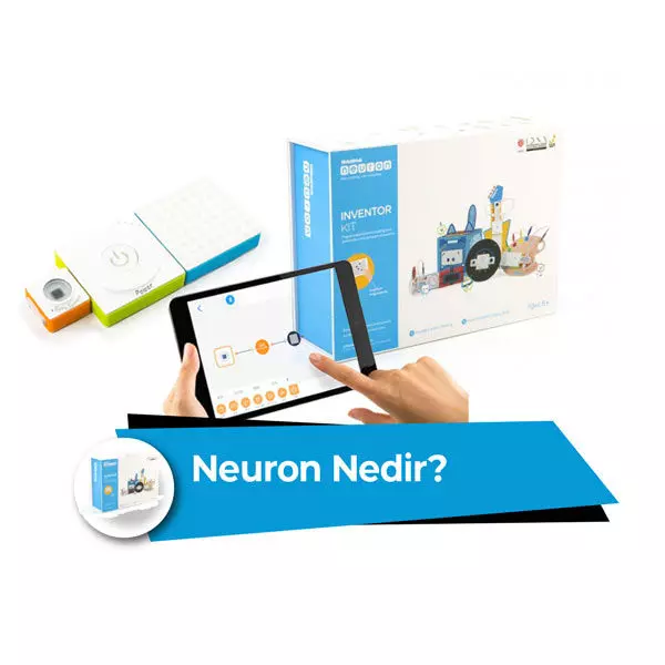 Neuron nedir?